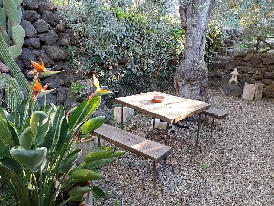 Hébergement de vacances Villa Oriente Dell'Etna Luogo Di Quiete E Cura Di Se à Belpasso